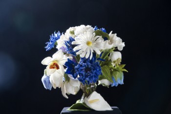 Fr&uuml;hjahrsbl&uuml;ten Beispiel 1