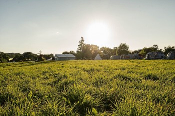 Kreativfreizeit auf Hof Balm - Teppich aus Rohwolle - ungekämmt/ ungewaschen Beispiel 3