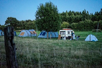 FINDET NICHT STATT !!! Kreativfreizeit auf Hof Balm - Teppich aus Rohwolle und andere sch&ouml;ne Sachen - ungek&auml;mmt/ ungewaschen Beispiel 2