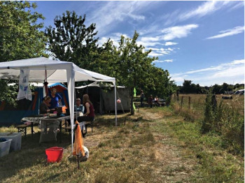 Kreativfreizeit auf Hof Balm - Sitzkissen und transparente Filze - ungekämmt/ ungewaschenFilzen mit Rohwolle  Beispiel 5