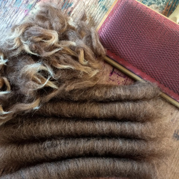 "Kammgarn vs. Streichgarn" K&auml;mmen, Kardieren, Spinnen im kurzen Auszug, Spinnen im langen Auszug Beispiel 3