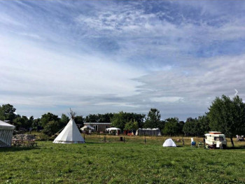 Kreativfreizeit auf Hof Balm - Sitzkissen und transparente Filze - ungekämmt/ungewaschen Filzen mit Rohwolle  Beispiel 5