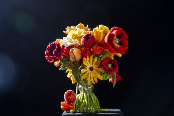 Bl&uuml;ten - Boten der Fr&uuml;hlingsgr&uuml;sse Beispiel 2