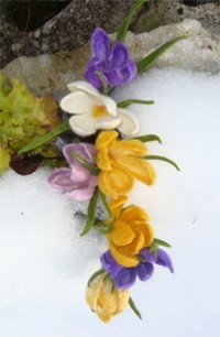 Farbenfrohe Blüten nach der Natur Beispiel 3